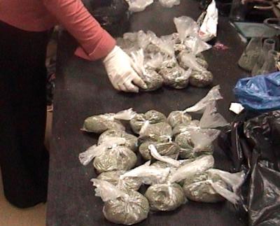 На Рязанщине возбуждено два уголовных дела по контрабанде наркотиков из Евросоюза